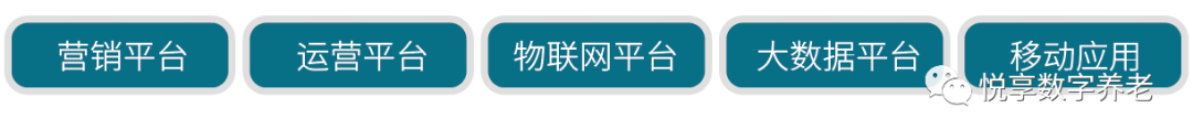 乐祥 | 数字驱动健康 智慧赋能养老(图3) 乐祥 | 数字驱动健康 智慧赋能养老(图3)