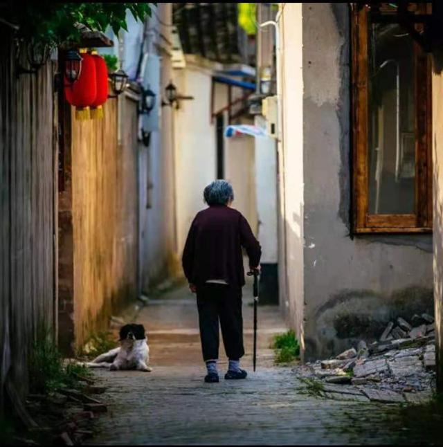 养老,是一场关乎经济实力和人性的博弈(图1) 养老,是一场关乎经济实力和人性的博弈(图1)