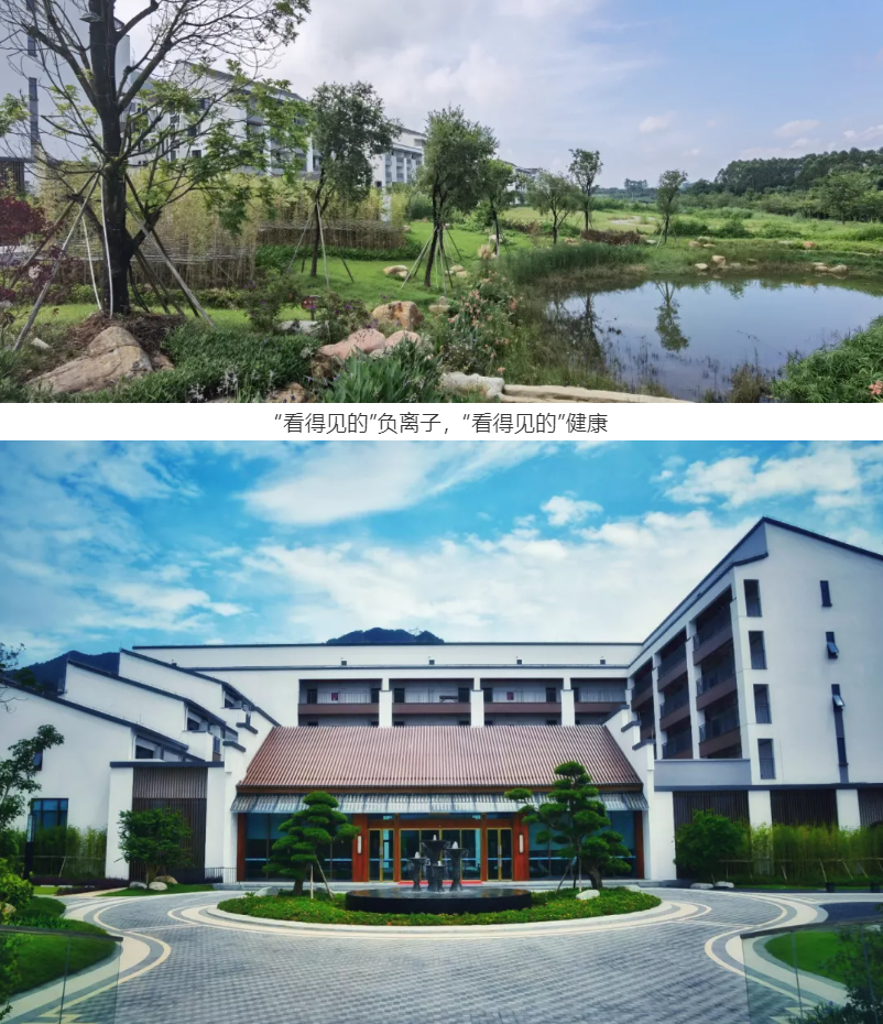 南山十二院智慧康养数字化平台项目启动(图6) 南山十二院智慧康养数字化平台项目启动(图6)